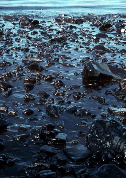 1989 Exxon Valdez Oil spill