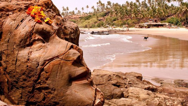 Южный Гоа Палолем