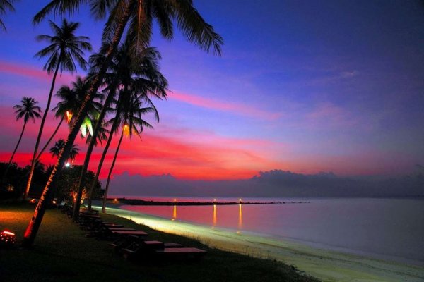 Garden Sea view Resort 4