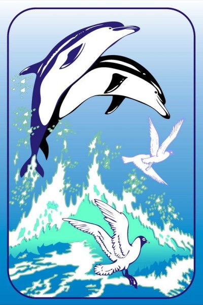 Дельфины и Чайки