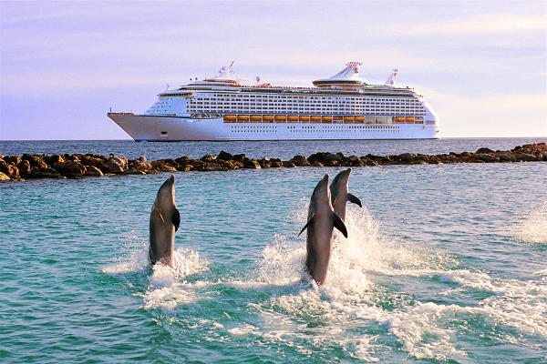 Море дельфины корабль