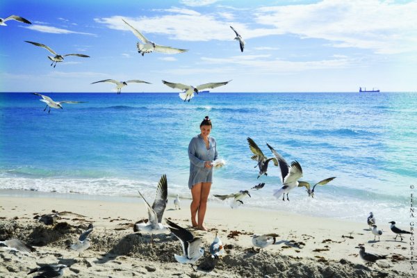 Море Чайки дети