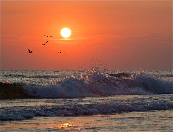 Я скучаю по морю