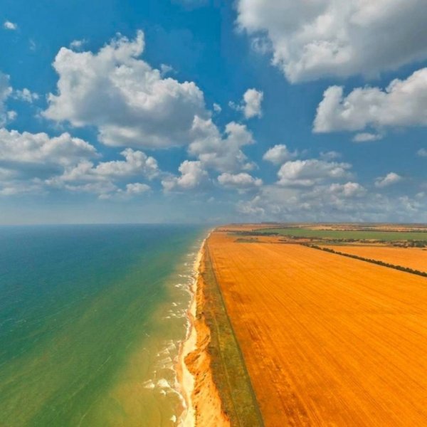 Азовское море поля
