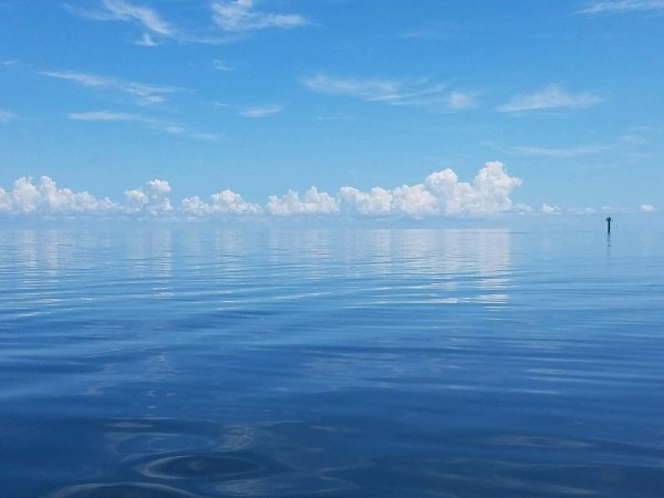 Спокойная гладь воды