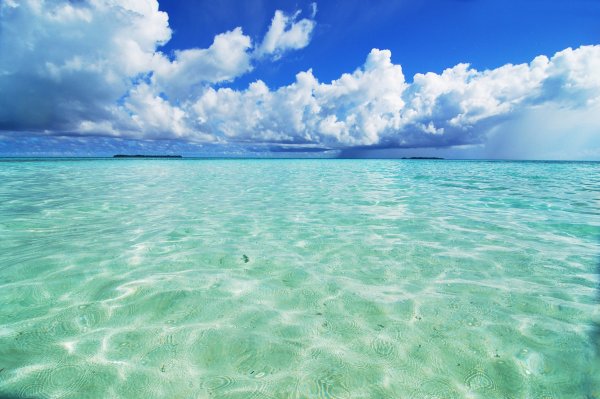 На морских просторах