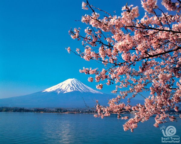 Фудзияма символ Японии