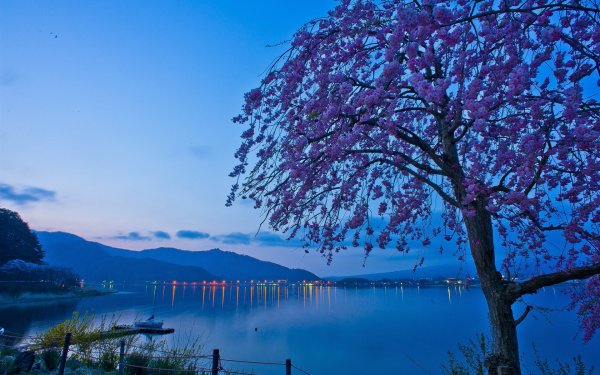 Озеро Кавагути Япония