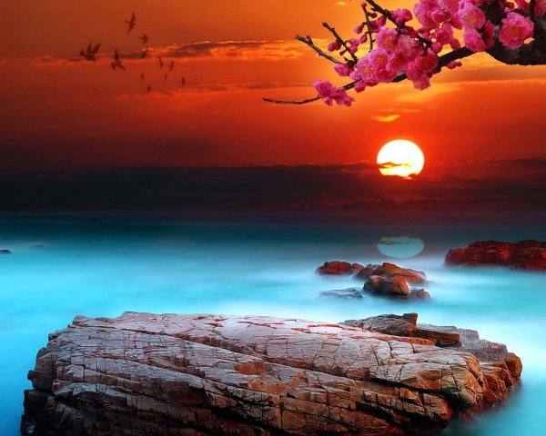 Сакура и горы