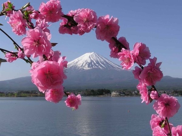 Корейский пейзаж