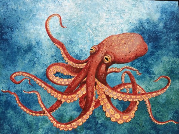 Осьминог живопись