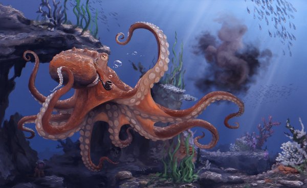 Кракен головоногий