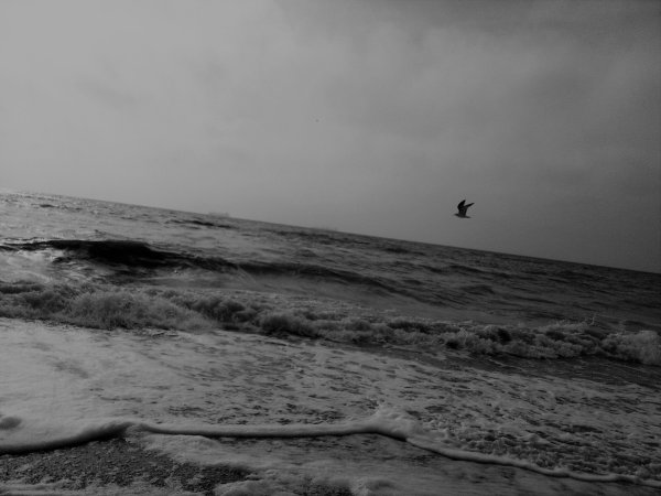 Одесса море чб