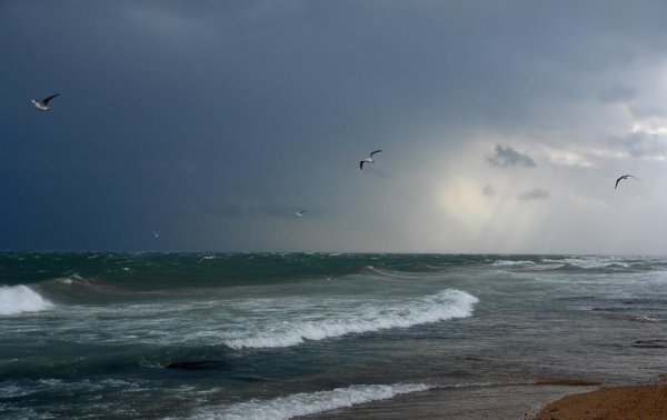 Феодосия штормовое предупреждение