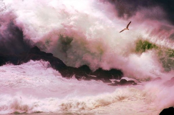 Море серое небо