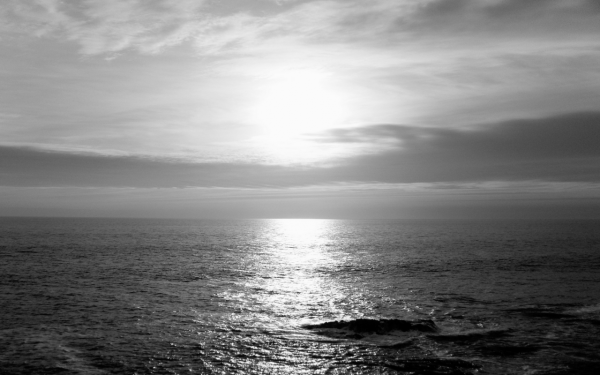 Морская волна черное море