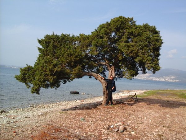 Лукоморье это морской залив