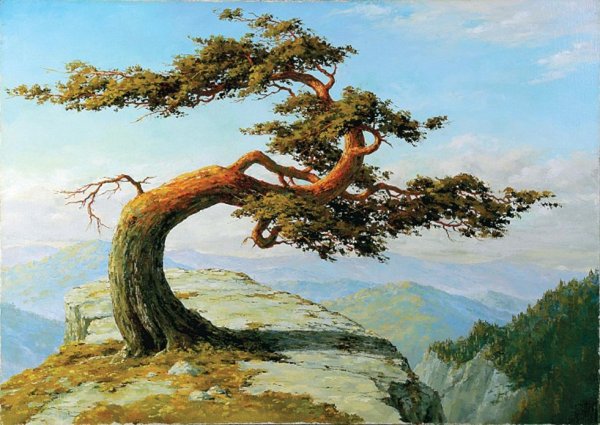 Дуб Пушкина у Лукоморья