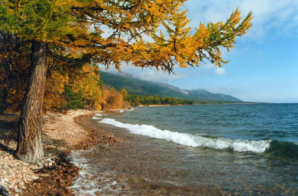 Листвянка Байкал осень