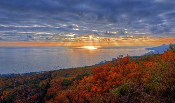 Осень на Черноморском побережье