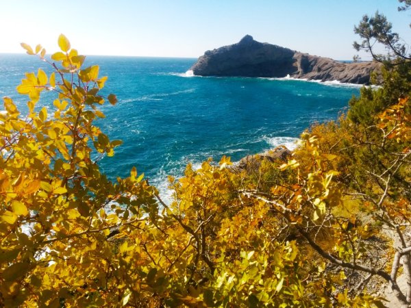 Сопки Приморского края осень