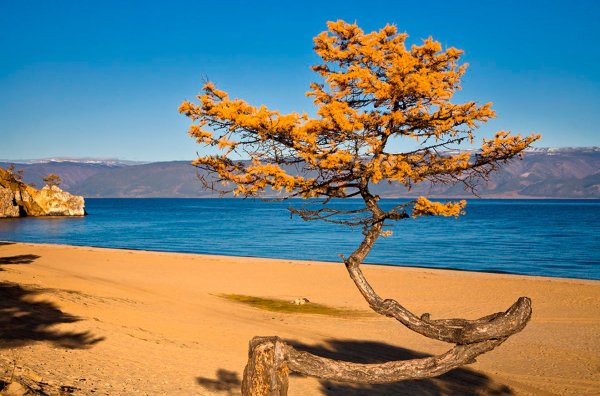 Осень на море