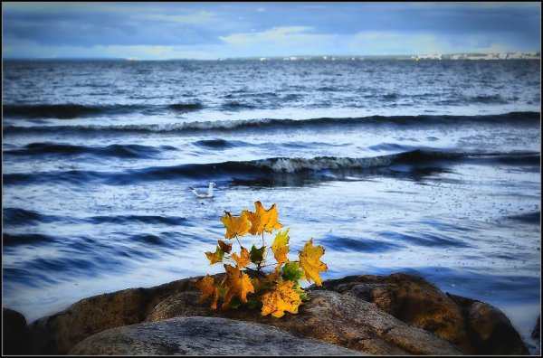 Море осень солнце