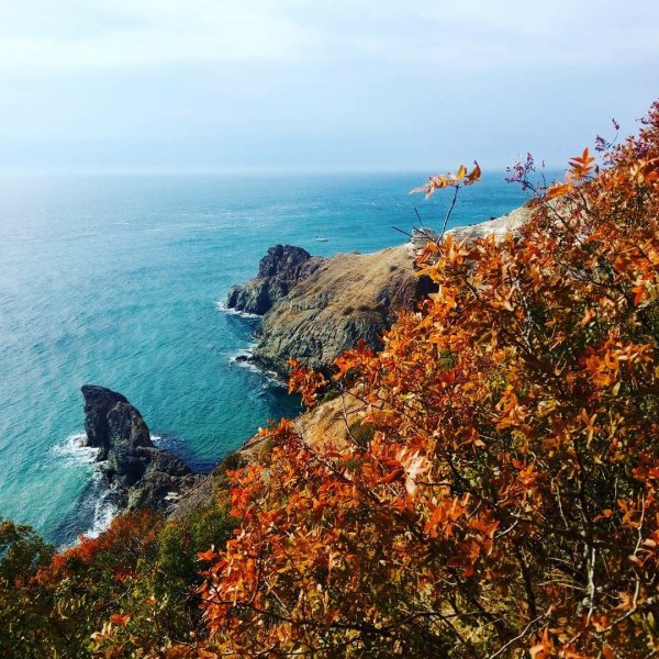 Сочи осенью море