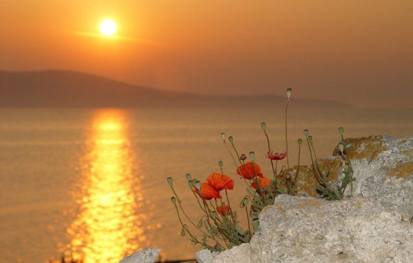 Море солнце песок