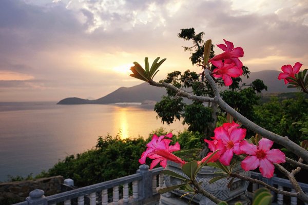 Лето море солнце