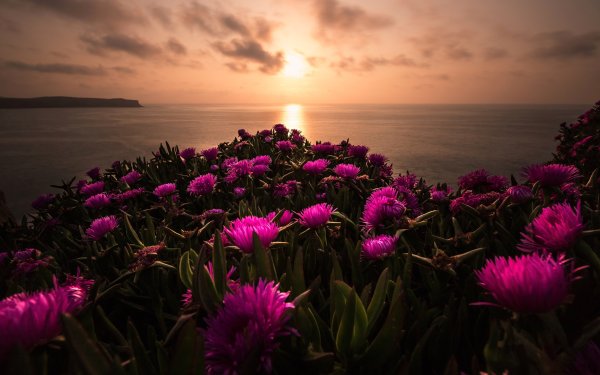 Золотые ворота Коктебель