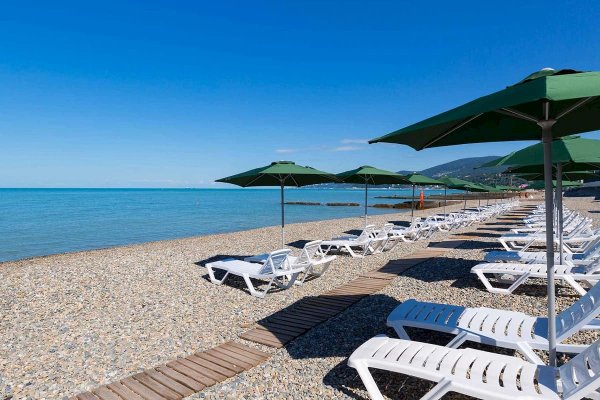 Пансионат кукуруза Сочи