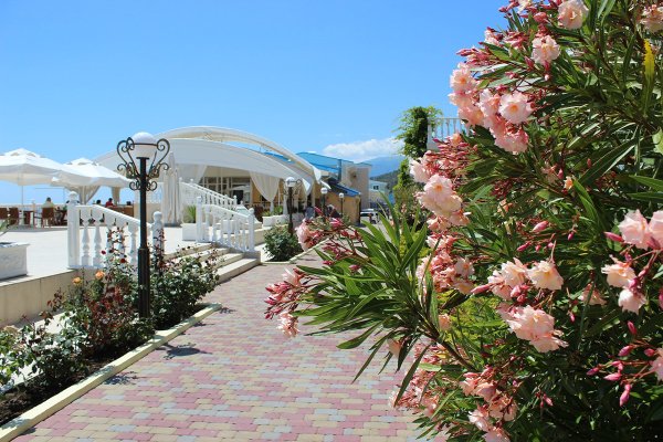 Отель море спа Резорт Алушта