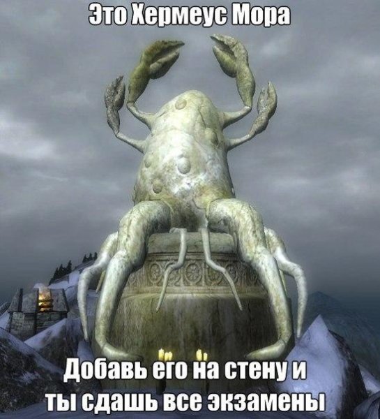 Хермеус мора и Довакин