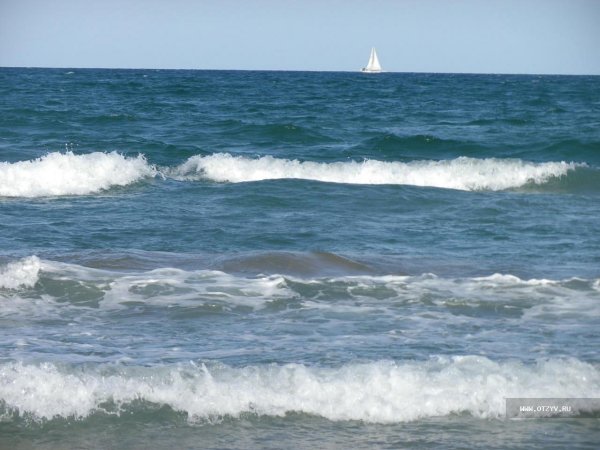 Барашки на море