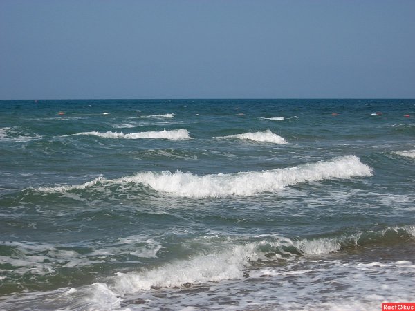 Барашки на море