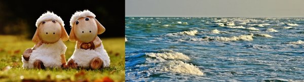 Волны барашки на море