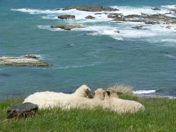 Морской Прибой Евпатория