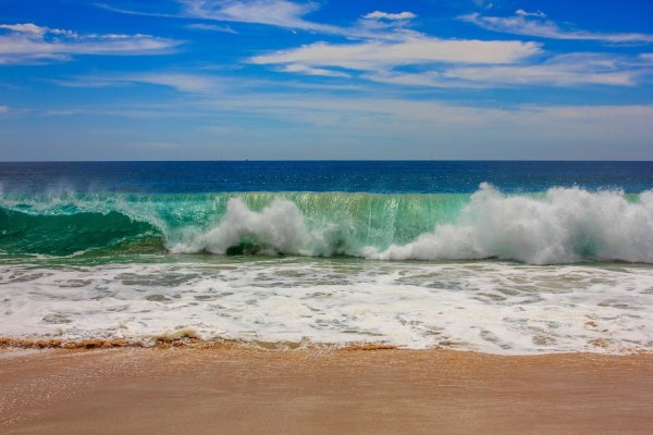 Море пастбище