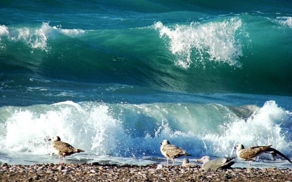 Квадратные волны в море