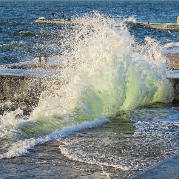 Bone Emily "Wild weather"