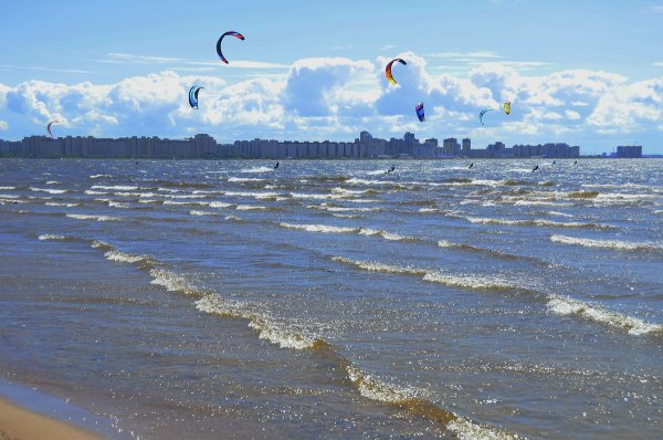 Ким морской Прибой