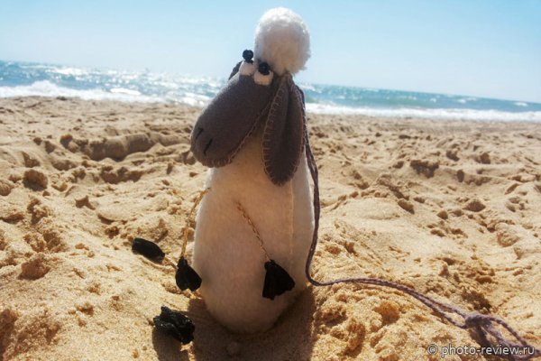 Океанический Прибой Португалия