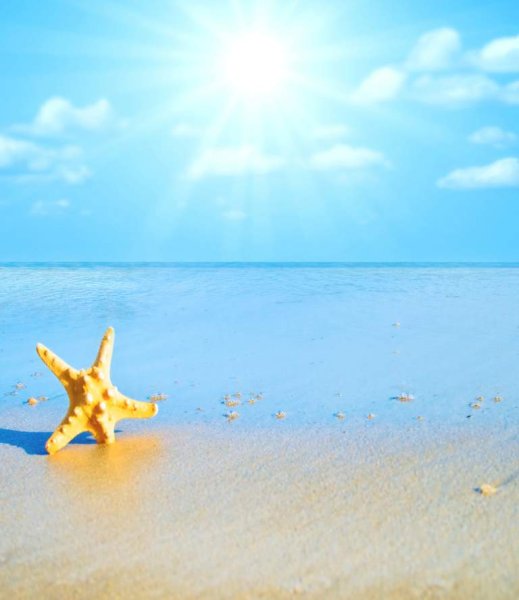 Море солнце пляж