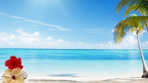 Anse Lazio пляж