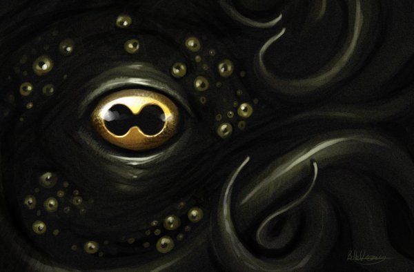 Хермеус мора