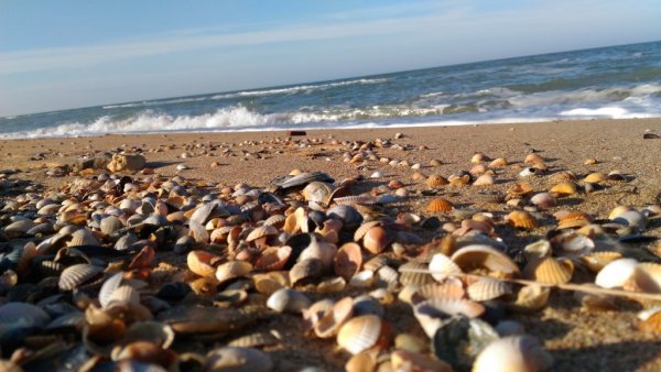 Темрюк станица Голубицкая