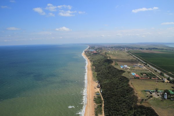 Голубицкая 2021