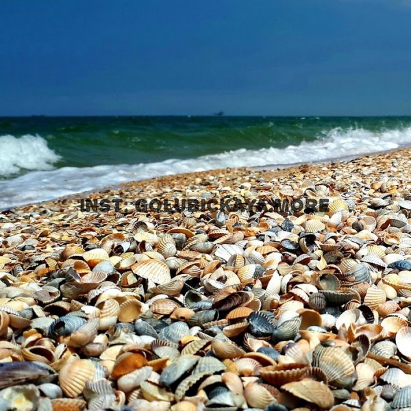 Голубицкая шторм