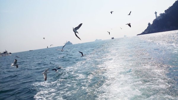 Пляжи Кореи